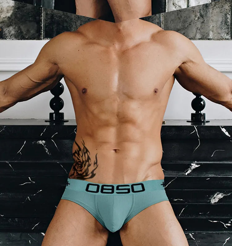 Orlvs Brand Men Boxers Cotton Sexy Men Underwear