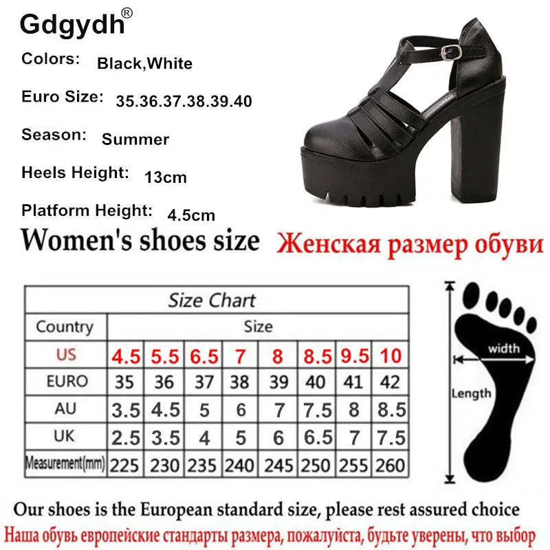 Summer Fashion High Platform Sandals Women Casual Ladies Shoes