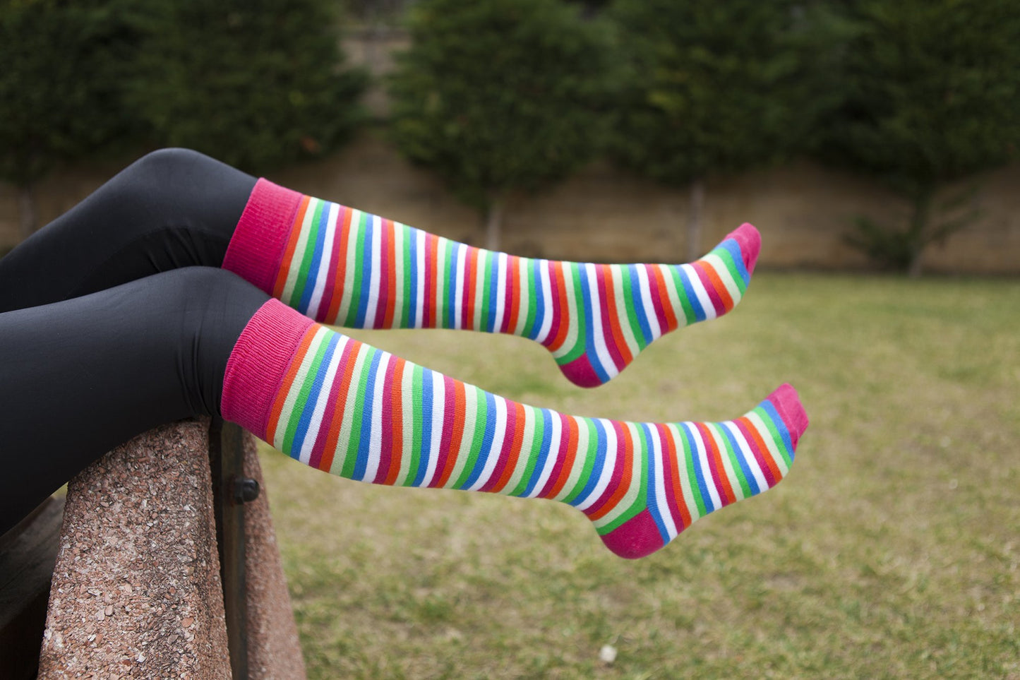 Women's Pink Blush Stripe Knee High Socks