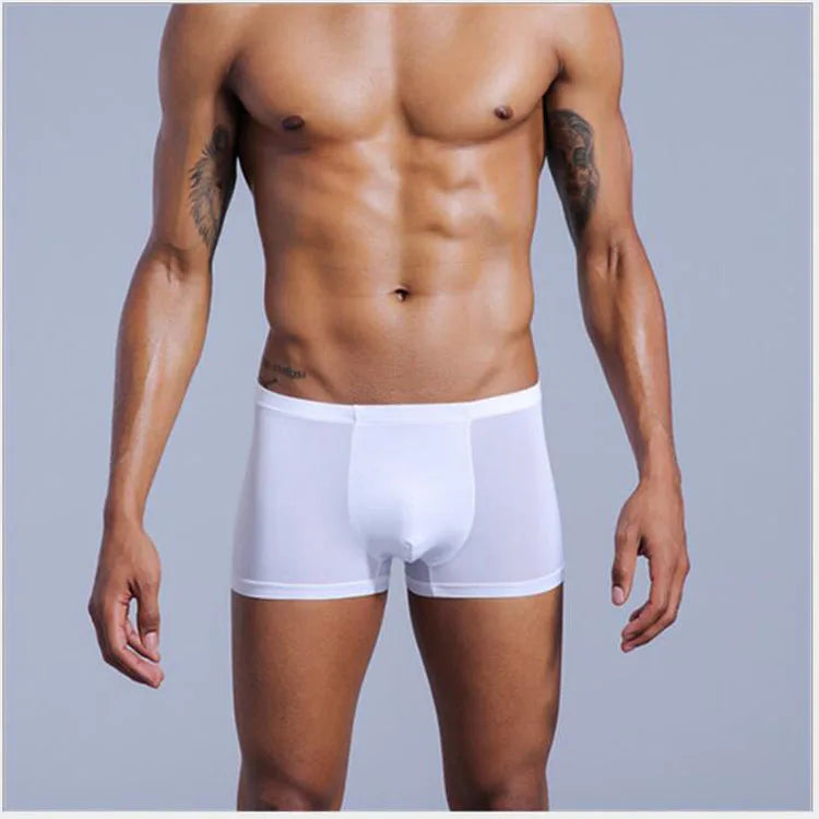 Very Thin Men's Underwear Nylon Ice Silk Boxers Double Bagged Boxers