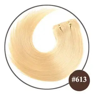 Short Double Weft Clip in Human Hair Extensions Thick Straight Hair Clip