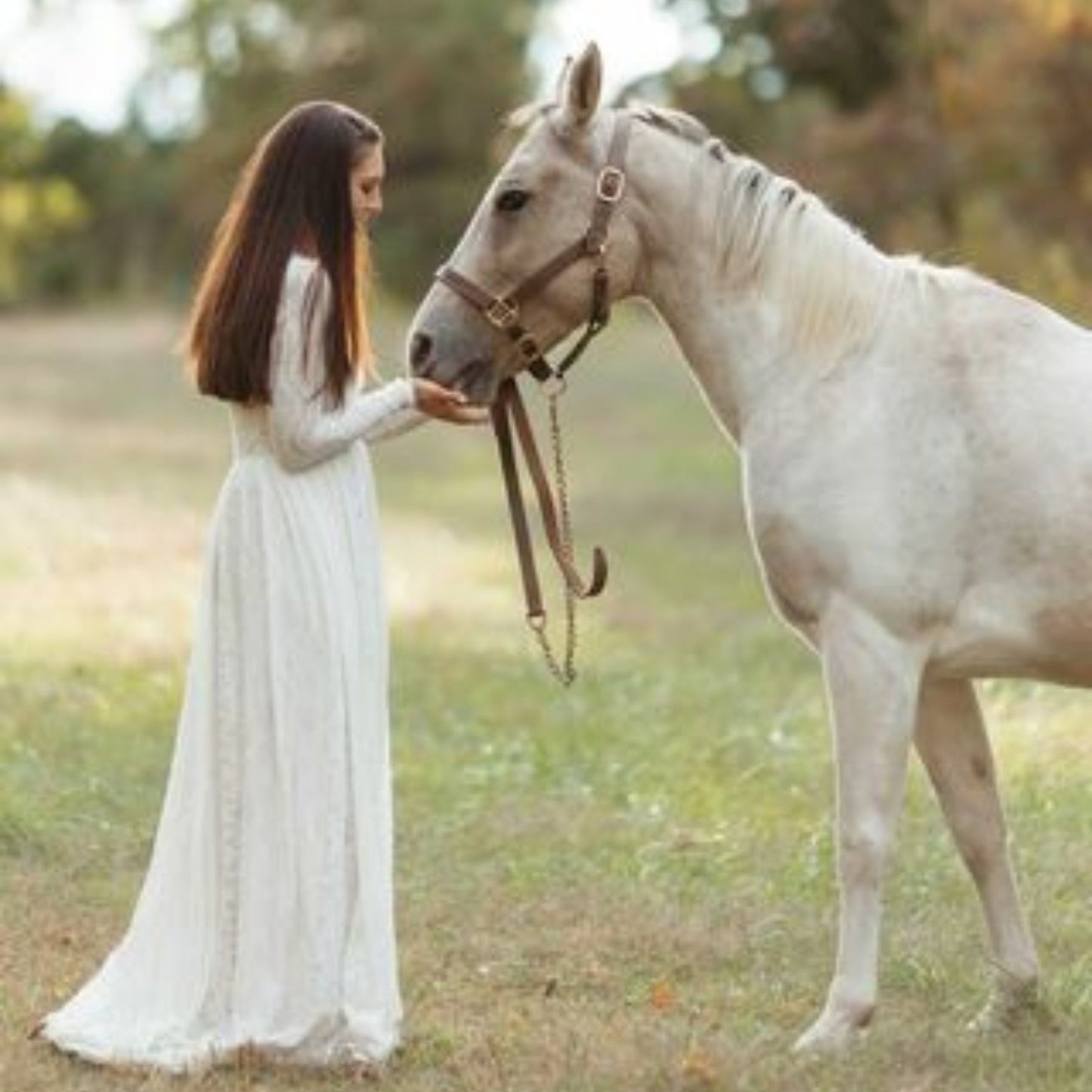 Train Wedding Modest Dress