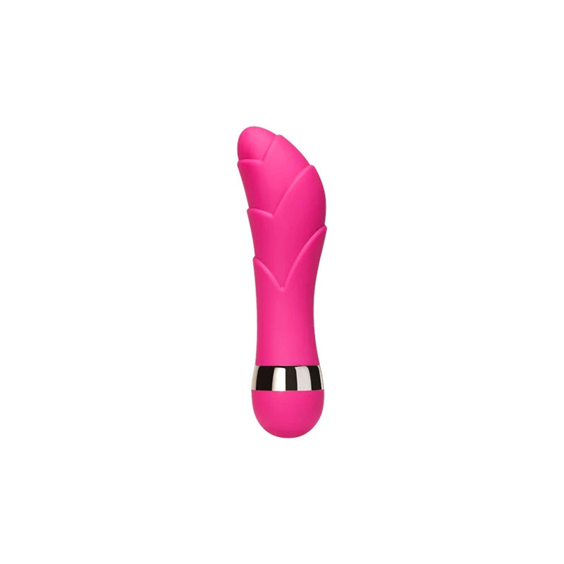 Multi-Speed G Spot Vagina Vibrator Clitoris Butt Plug